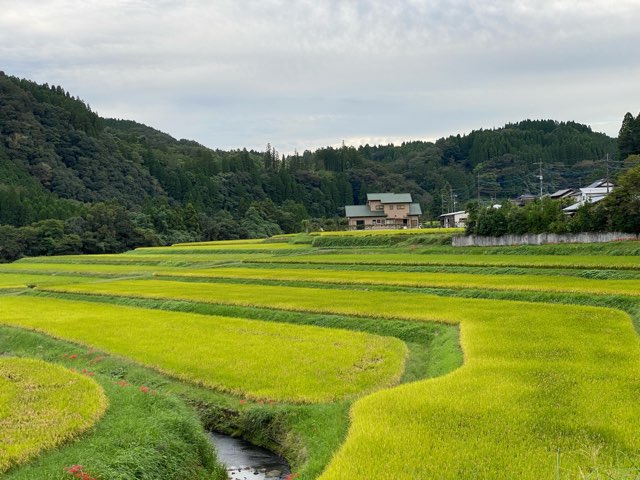 豊後大野市