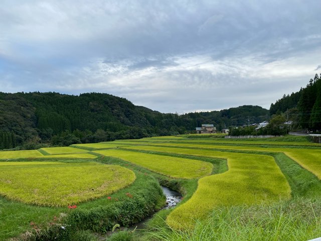 豊後大野市