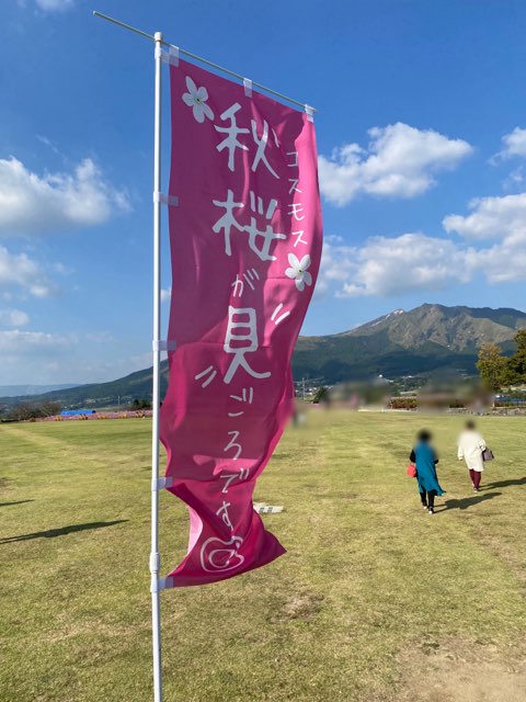 道の駅あそ望の郷くぎのコスモス