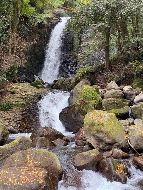 白糸の滝