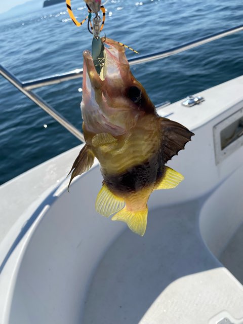 魚釣り