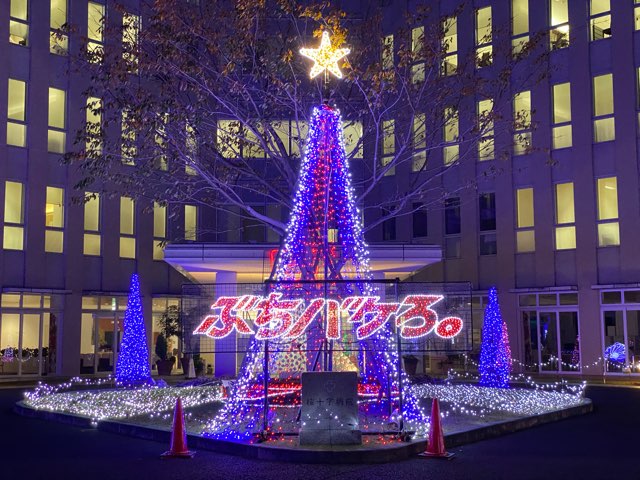 桜十字サンクスイルミネーション