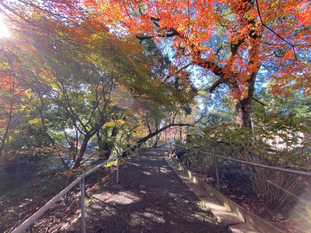 鹿児島神宮