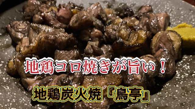 地鶏炭火焼鳥亭