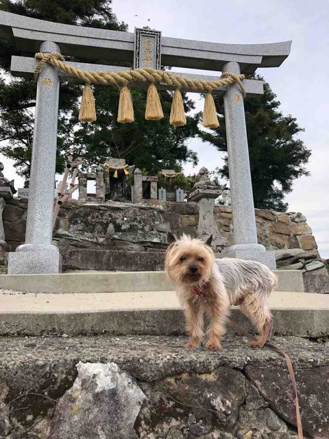 倉岳神社