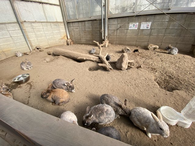 別府地獄めぐり山地獄