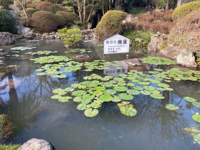 別府地獄めぐり海地獄