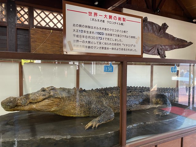 別府地獄めぐり鬼山地獄