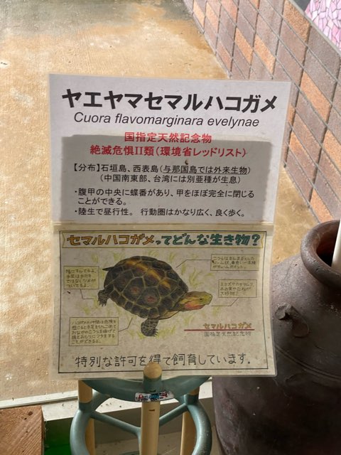 与那国アヤミハビル館