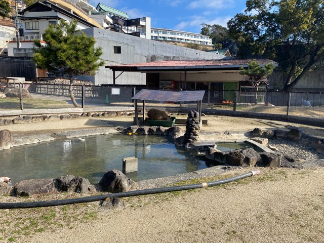 別府地獄めぐり山地獄