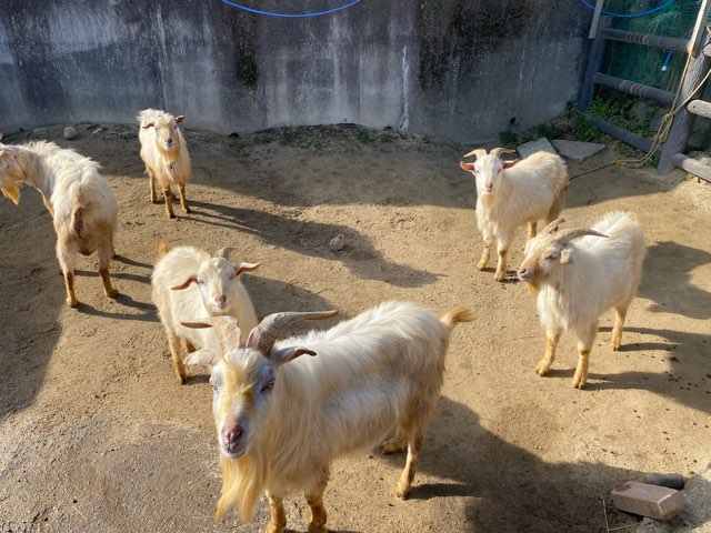 別府地獄めぐり山地獄