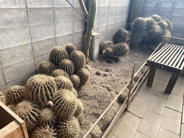 別府地獄めぐり山地獄