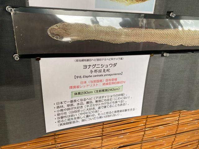 与那国アヤミハビル館