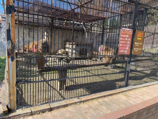 別府地獄めぐり山地獄