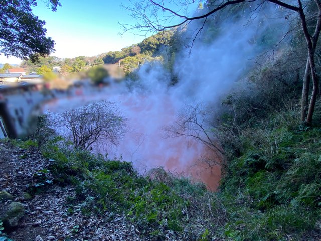 別府地獄めぐり血の池地獄