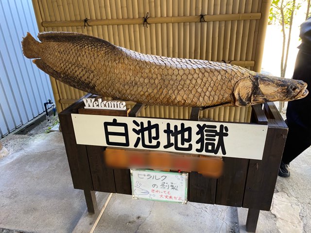 別府地獄めぐり白池地獄