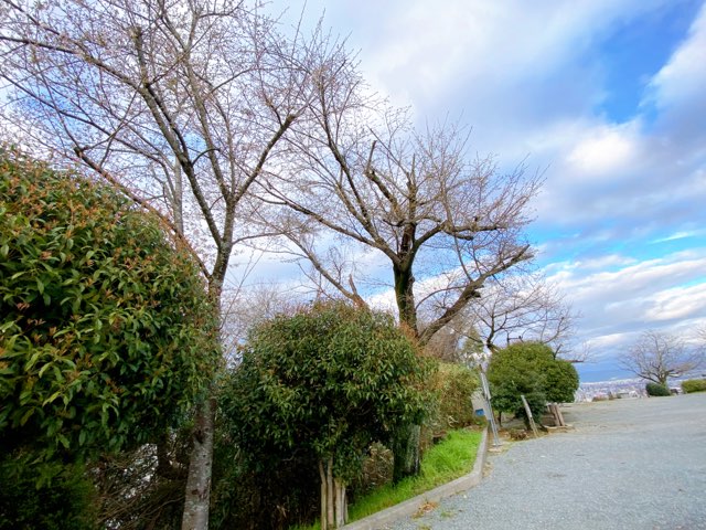 花岡山