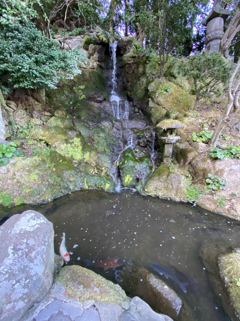 別府地獄めぐり血の池地獄