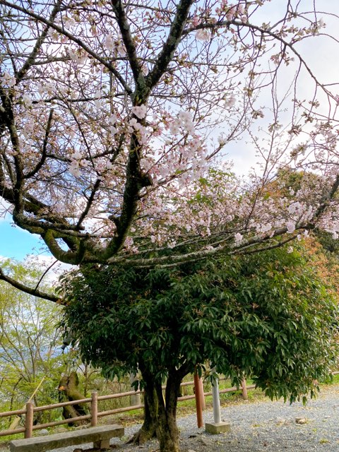 花岡山