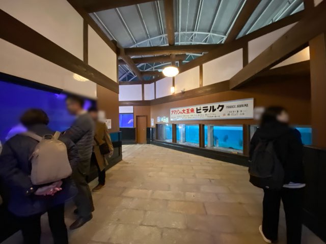 別府地獄めぐり白池地獄