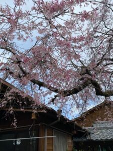 市房ダム水の上の市場