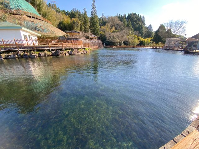 丸池湧水