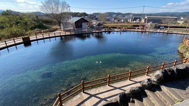 丸池湧水