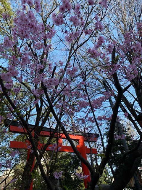 花園神社