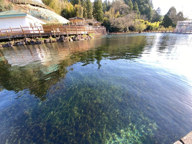 丸池湧水