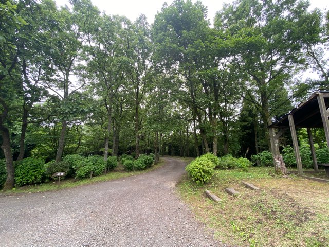 くじゅう花公園