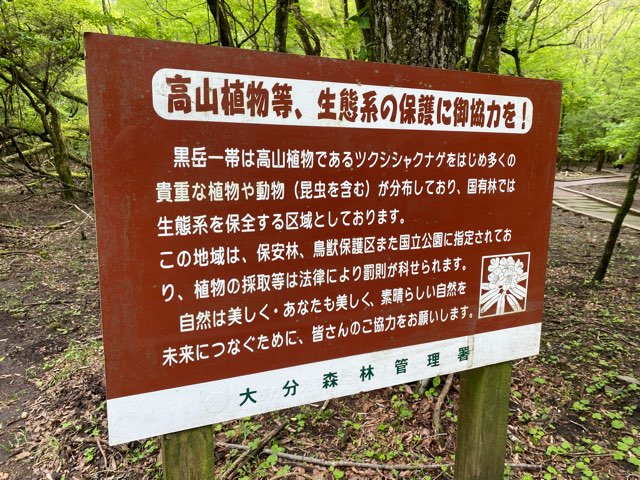 男池