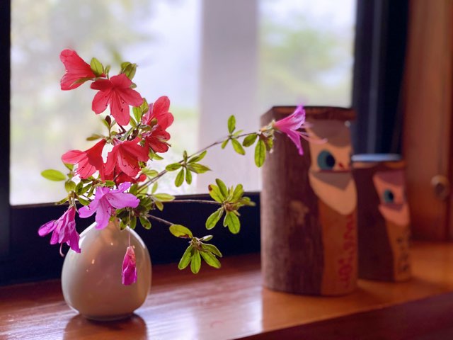 とうふ工房さくら草