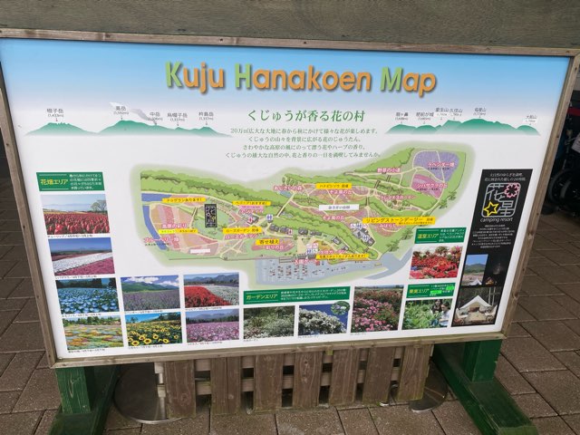 くじゅう花公園