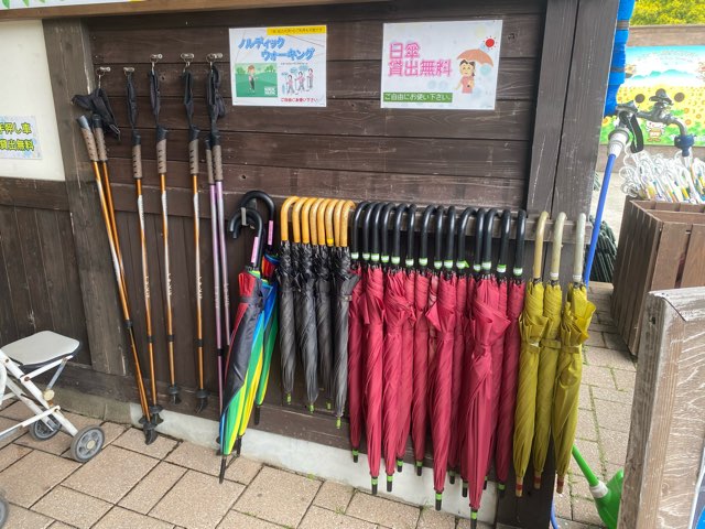 くじゅう花公園