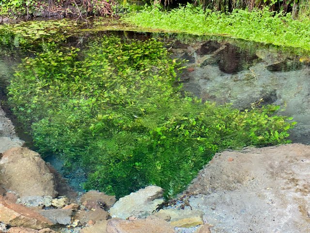 水源地