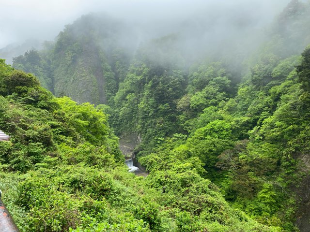 桂茶屋