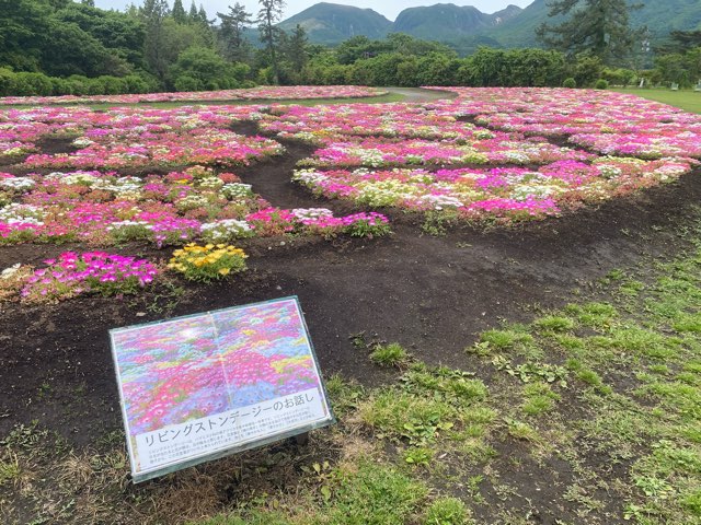 くじゅう花公園