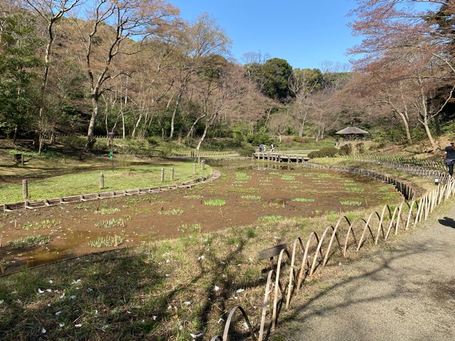 明治神宮御苑