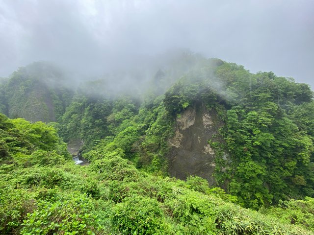 桂茶屋