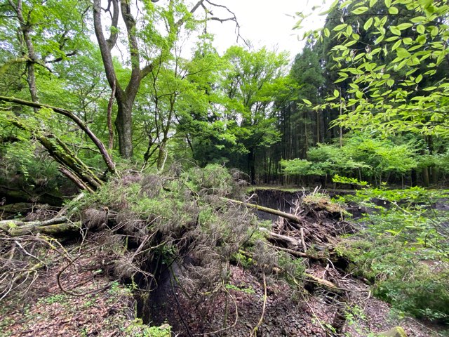 名水の滝