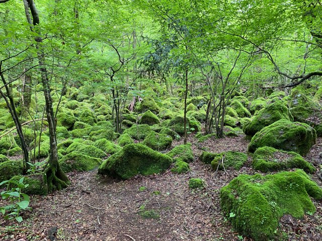 名水の滝