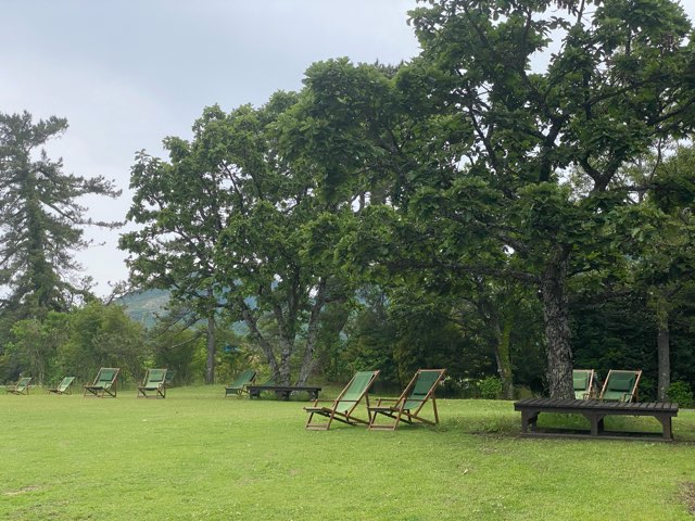 くじゅう花公園