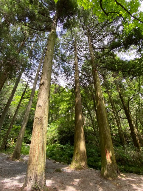 池山水源