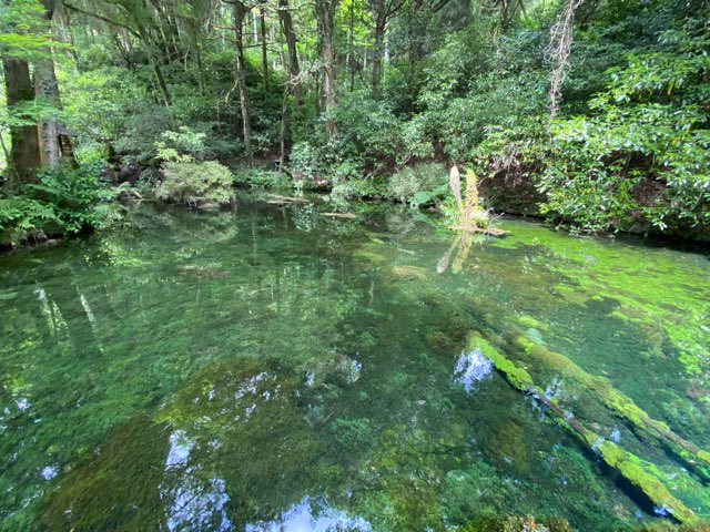 池山水源