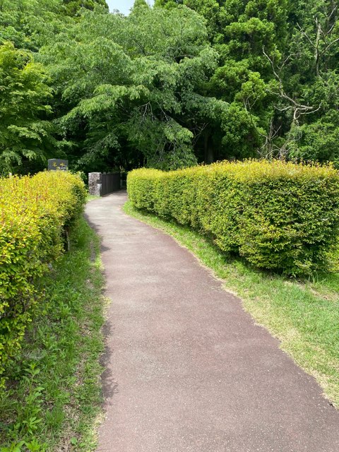 池山水源