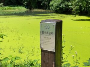 小清水の池