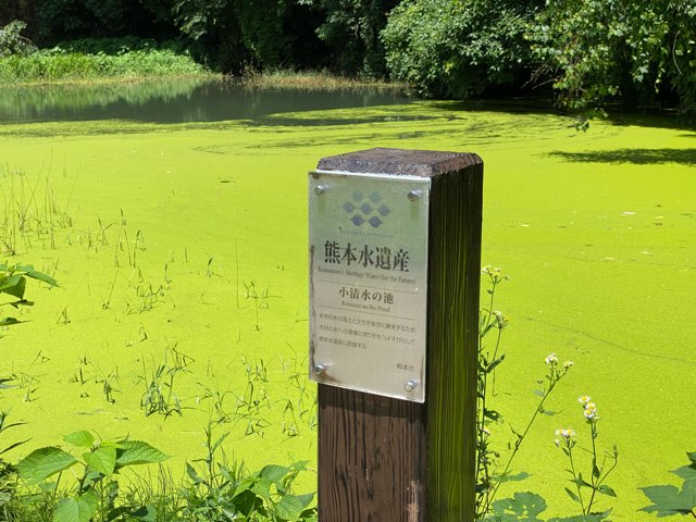 小清水の池