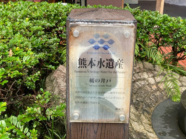 桜の井戸