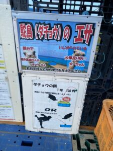 ブーゲン岬ジャージー牛牧場