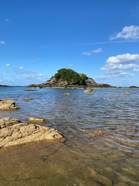 ブーゲン岬ジャージー牛牧場